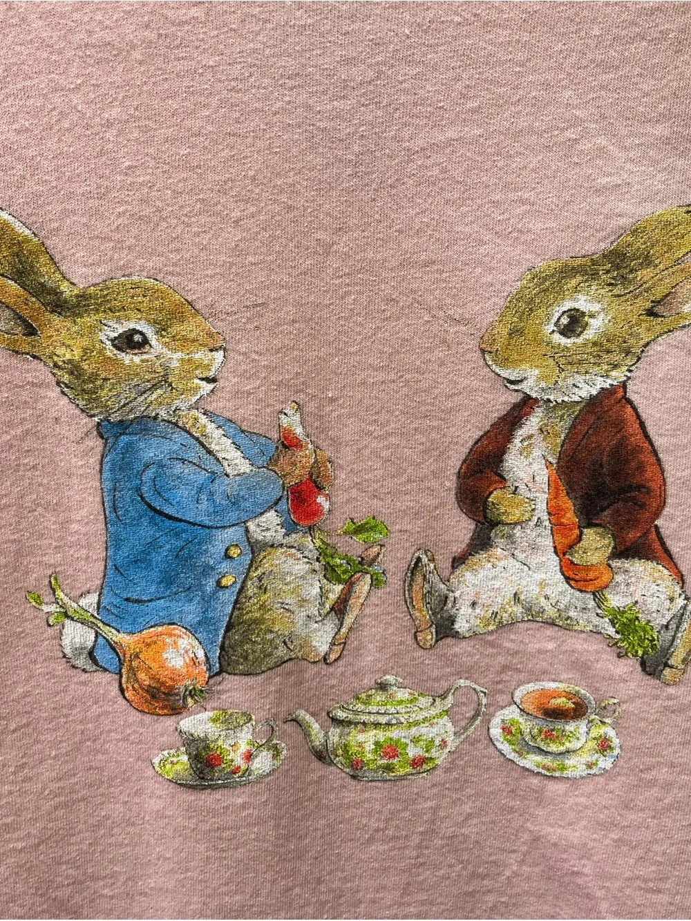 Official Beatrix Potter Peter Rabbit Ringer Graphic Tee - Picture 3 of 4